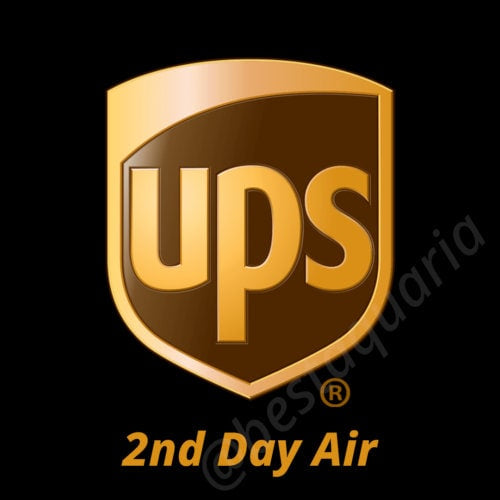 UPS 2-Day Air Expedited Shipping