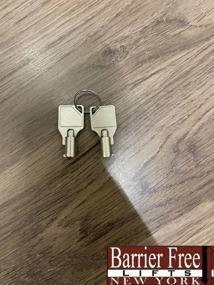 Bruno Spare Key for Euchner ESI #C2293 (2) Parts
