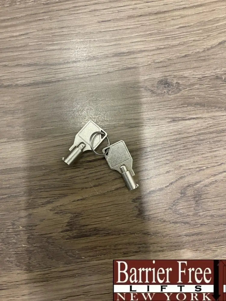 Bruno Spare Key for Euchner ESI #C2293 (2) Parts